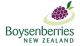 boysenberriesnz